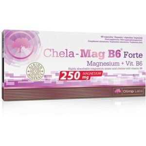 Chela-Mag B6 Forte Mega Caps 60 kaps.